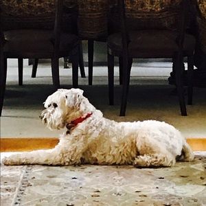 Meet your Posher, Karen